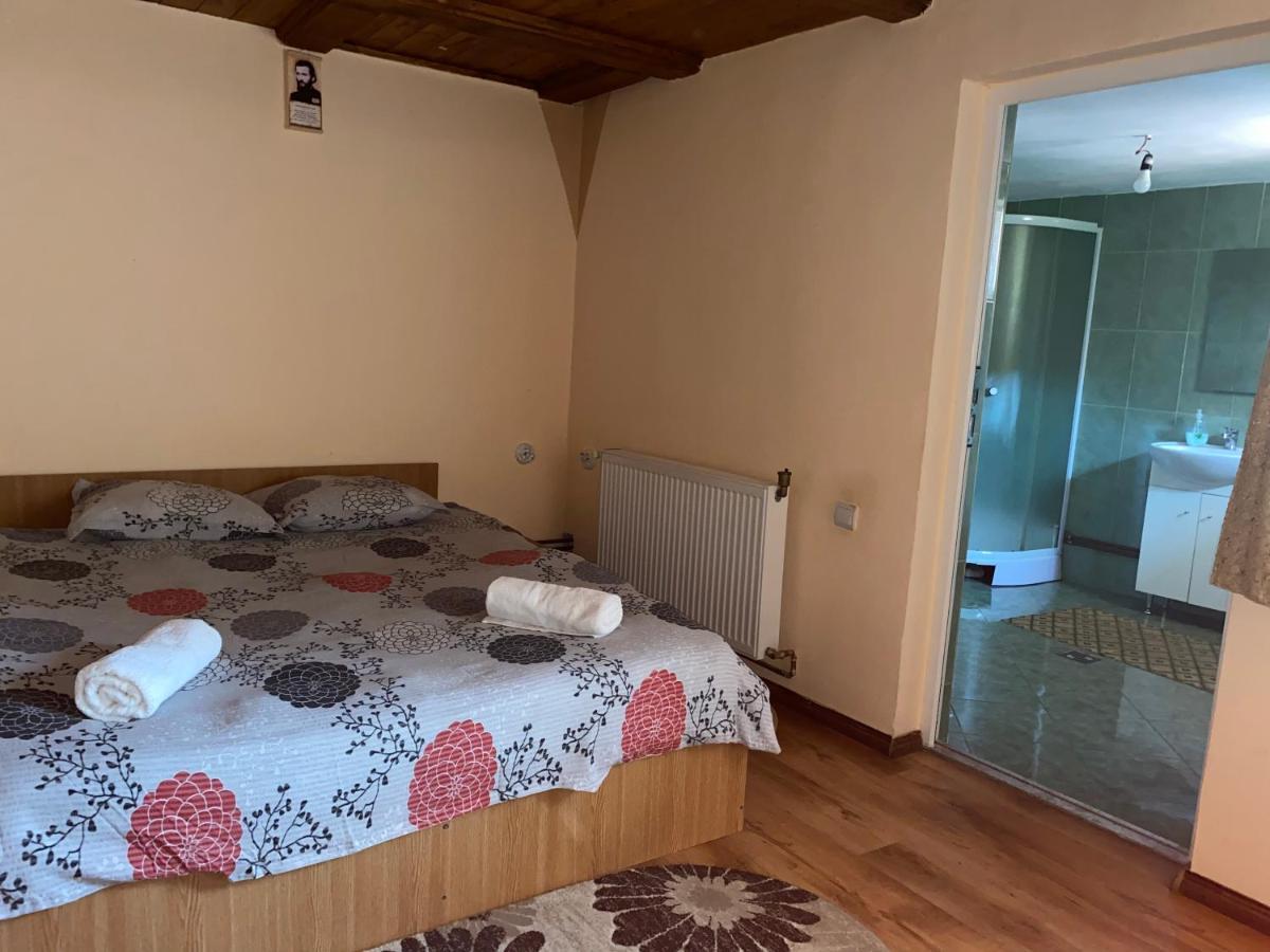 Casa Blendea Daniela Hotel คือร์ตีโชอารา ภายนอก รูปภาพ
